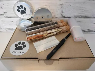 PsiNos Dagmara Sykisz